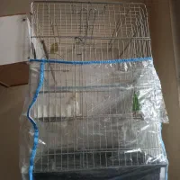 قفس طوطی  و کاسکو