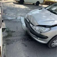 ۲۰۶ تیپ دو مدل ۱۴۰۰|خودرو سواری و وانت|اصفهان, همت‌آباد|دیوار