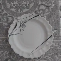 سرسفره درحد نو