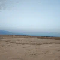 زمین-نارجو