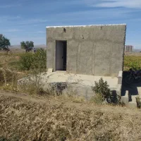 باغ انگور(۲۰۰۰متر)سند تک برگ|فروش دفتر صنعتی، کشاورزی، تجاری|تاکستان, |دیوار