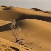 تور کویر