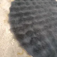 پادری