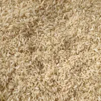برنج سرخه هاشمی صحنه