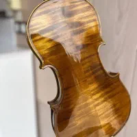 ویولن از حرفه ای تا مبتدی