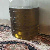 روغن زیتون رودبار بابو امساله اصل|خوردنی و آشامیدنی|رودبار, |دیوار