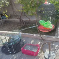 میز عسلی با قفس|مبلمان خانگی و میز عسلی|زرند, |دیوار