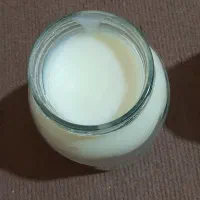 روغن گوسفندی کرمانشاهی|خوردنی و آشامیدنی|شیراز, فرهنگ شهر|دیوار