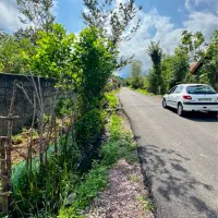 ۲۵۰متر زمین مسکونی با سند تکبرگ بر اسفالت تاپ|فروش زمین و ملک کلنگی|سیاهکل, |دیوار