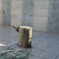 مغازه معصومیه پایین