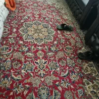 قالی دستباف|فرش|شاهینشهر, فردوسی|دیوار