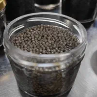 ایونت صبحانه خاویار ایرانی درجه یک صادراتی
