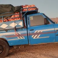 حمل باربانیسان