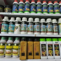 مرکز پخش انواع نهاده های کشاورزی|گل و گیاه طبیعی|مشهد, شهید شهریاری|دیوار