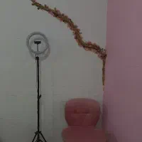 خدمات لاین های زیبایی