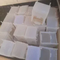 فنچ گلدین دونخوری مکانیزه|پرنده|شیراز, شهرک دارایی|دیوار