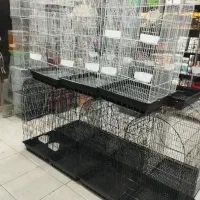 قفس(یک متری)عروس گرینچیک کوتوله مینا