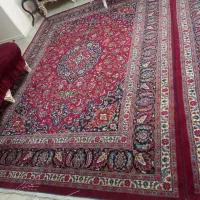 فرش دستبافت|فرش|تهران, سردارجنگل|دیوار