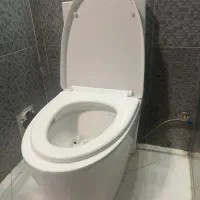 توالت فرنگی تعمیر همه مدلها|لوازم سرویس بهداشتی|شیراز, پارک آزادی|دیوار