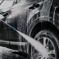 نیروی کارواش