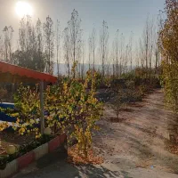 فروش ویلا هروی