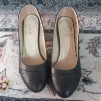 دوجفت کفش مجلسی ویک جفت نیم پوت زنانه|کیف، کفش، کمربند|تربت‌حیدریه, مظفریه|دیوار