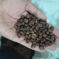 قهوه گرون نخر ....