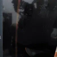 تلویزیون 65 ایوولی صفحه شکسته