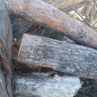 خرید انواع چوب  نقدی