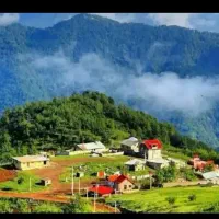 نظافتچی خانم