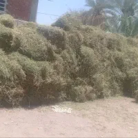 بیده پرس تراکتوری