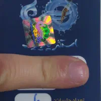 ۱۰ عدد بلیط استخر پازیریک