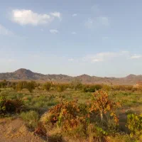 باغ کشاورزی