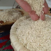 برنج عنبربو درجه 1 شوشتر خوزستان