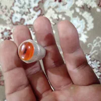 کهنه وعقیق روزگاری|کلکسیون اشیاء عتیقه|اصفهان, بهارستان|دیوار