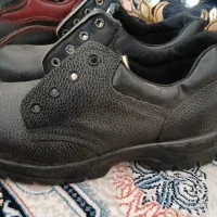 کفش|کیف، کفش، کمربند|مرودشت, ثبت احوال|دیوار