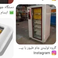 دستگاه جوجه کشی ۲۰۰عددی