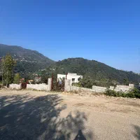 ۲۹۰متر ۱۲متر بر گذر ۱۵متر جواز ساخت ۵۳۰متر ویلا