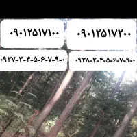 سیم کارت رند ایرانسل