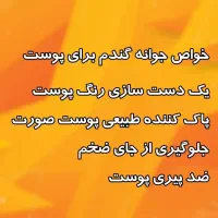 پودر جوانه ی گندم|آرایشی، بهداشتی، درمانی|سلماس, |دیوار