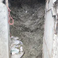 علف خورد شده