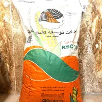 تخم یونجه ذرت