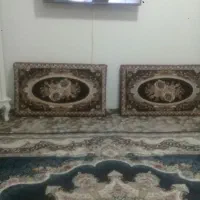 پشتی درحدنو