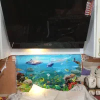 نصب هودگاز تلویزیون و ماشین لباسشویی و ظرفشویی