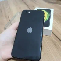 Se 2020|موبایل|پرند, فاز ۴|دیوار