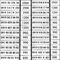 کلکسیون شماره های رند 0919