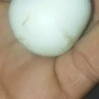 سنگ الماس اسیاب