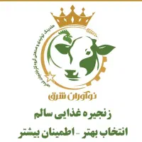 تکمیل استخدامی حقوق و مزایا ویژه