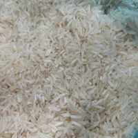 ضیغمی چرداول برداشت امسال