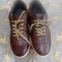 کفش مردانه دنیلی